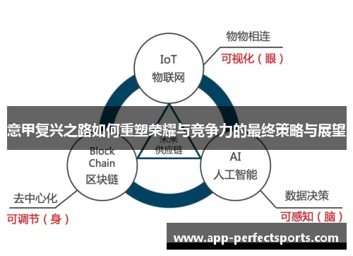 意甲复兴之路如何重塑荣耀与竞争力的最终策略与展望